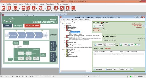 project management reporting; praxis framework